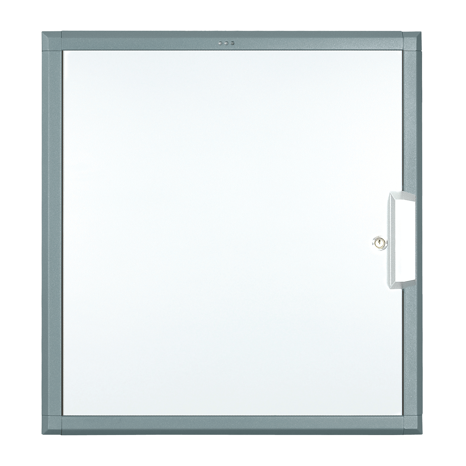 flexx 12 U with steel door proxSafe