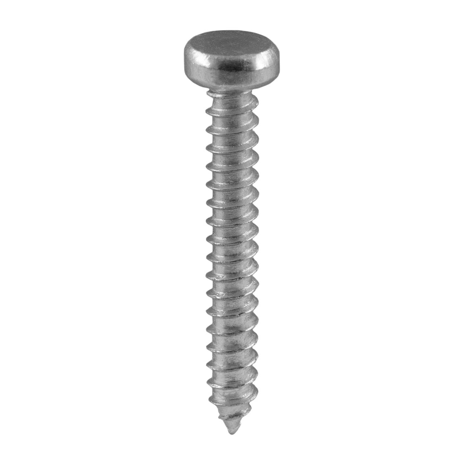 1" Safety screw for tamper-proof mounting of checkpoints 